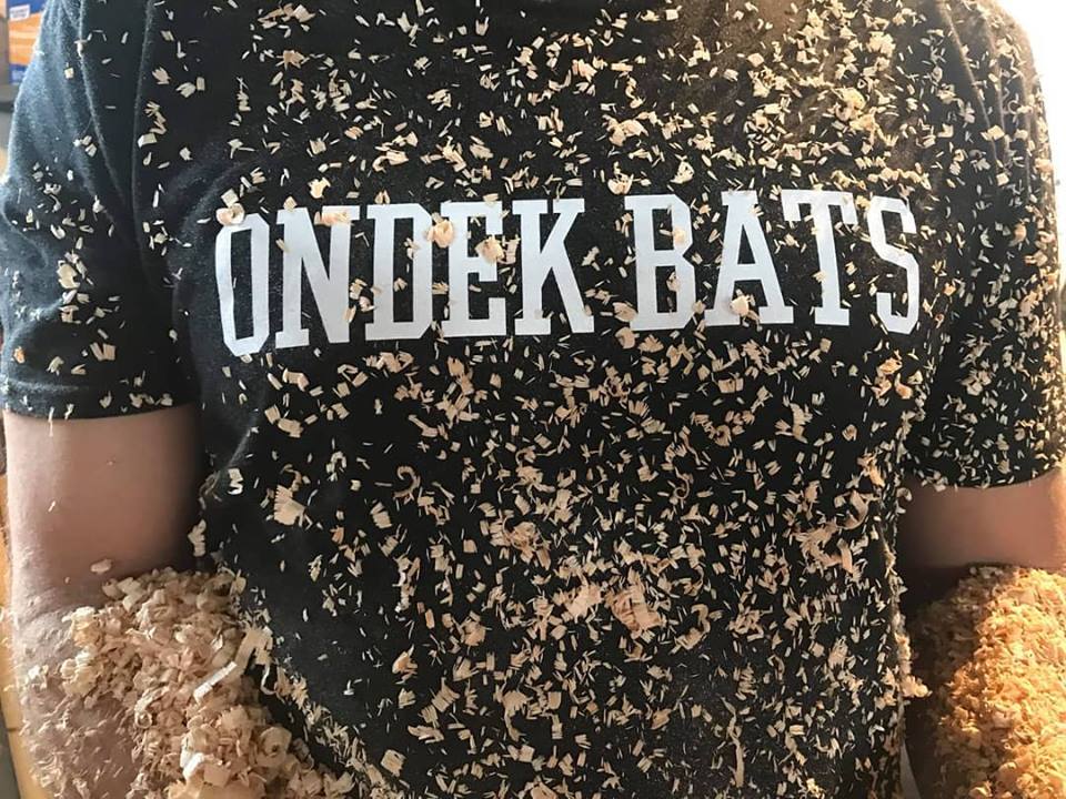 Ondek_Bats_sawdust_photo